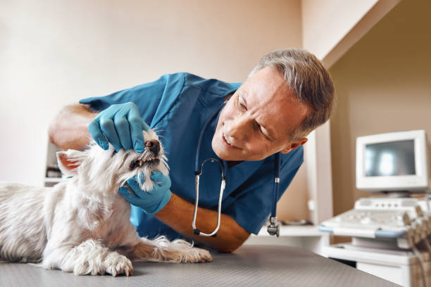 Best Dentist for Tooth Abscess  in Hemet, CA